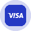 Visa Tokenized Stock (Ondo) icon